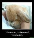 Лесічка Бомко фотография #3 (источник - https://vk.com/id163323351)