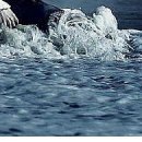 Карына Шевченко фотография #1