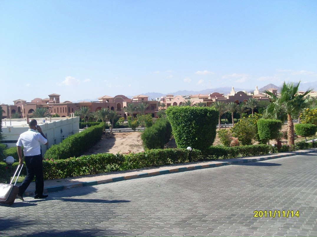 Рома Тихоненко фотография #40