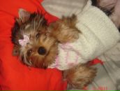 Фотография Новиковой Люды