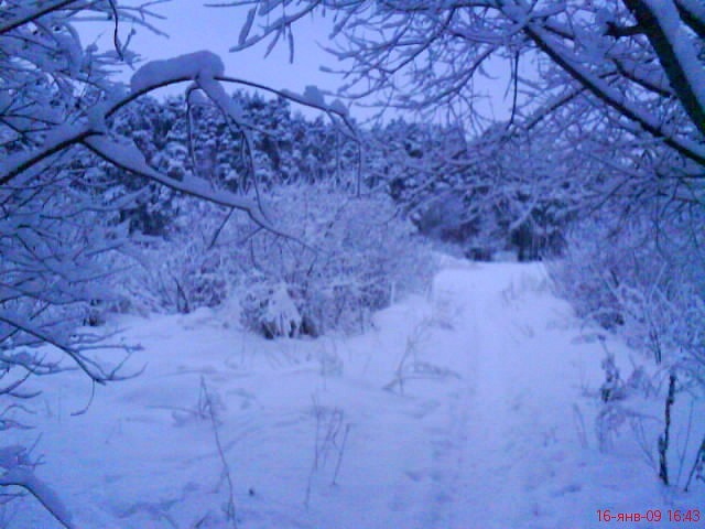 Егор Орлов фотография #26