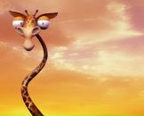 Ігор Гальчук фотография #34 (источник - https://vk.com/id23102302)