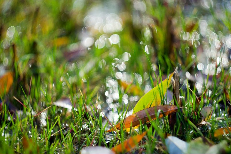 Антон Девяткин фотография #29