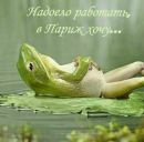 Фотография Осипенко Марии