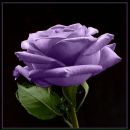 Фотография Денифостовой Оксаны