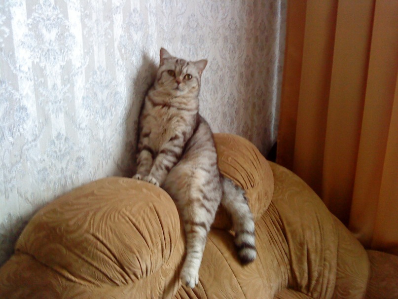 Денис Башкирев фотография #6