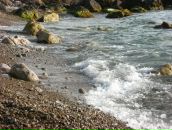 Олексій Підлубний фотография #28 (источник - https://vk.com/id13157390)