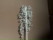 Іра Волинець фотография #18 (источник - https://vk.com/id104408423)