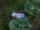 Фотография Головановой Марии