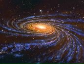 Фотография Крестьяниновой Татьяны