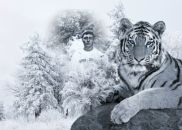 Фотография Запевалова Алексея