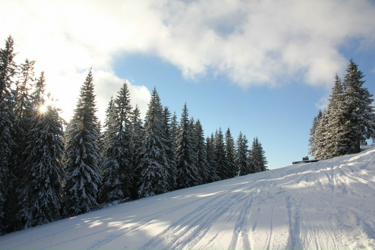 Дмитрий Мильков фотография #8