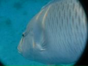 Дима Иващенко фотография #3 (источник - https://vk.com/id1126999)