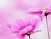 Вікторія Калінченко фотография #9 (источник - https://vk.com/id43190184)