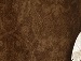 Максим Радзіх фотография #33 (источник - https://vk.com/id148327404)