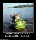 Наталі Трофімюк фотография #10 (источник - https://vk.com/id154878825)