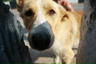 Фотография Павлова Юрия