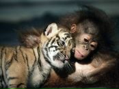 Фотография Яковлевой Тамары