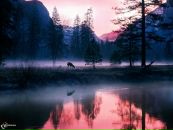 Фотография Горевой Елены
