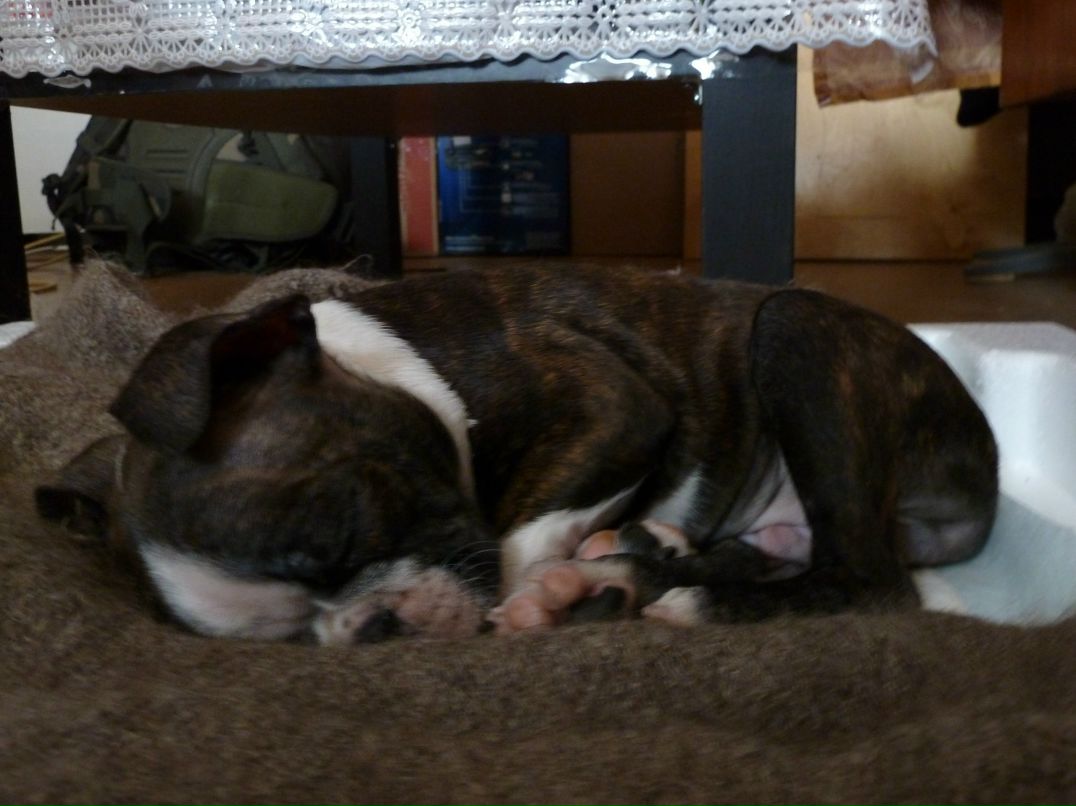 Дмитрий Павличенко фотография #48