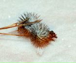 Дарья Базанова фотография #14 (источник - https://vk.com/id8874885)