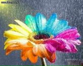 Фотография Голузовой Ольги