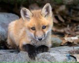 Фотография Жигулиной Ольги