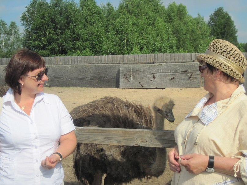 Наталья Гринёва фотография #29