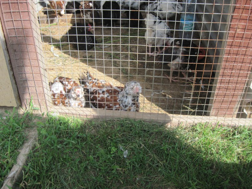 Наталья Гринёва фотография #39