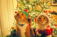 Фотография Ерёмкина Виктора