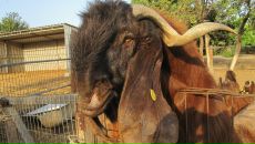 Фотография Бегуновой Ксююю