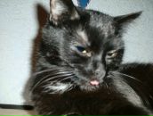 Фотография Rich Cent