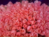 Фотография Игумновой Маши