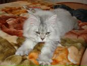 Фотография Куприяновой Ксении