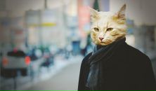 Сергей Волов фотография #43 (источник - https://vk.com/id647040)