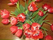 Фотография Соколовой Татьяны