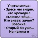 Андрій Гуцуляк фотография #42 (источник - https://vk.com/id78334033)