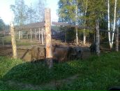 Борис Сергеевич фотография #7 (источник - https://vk.com/id223648)