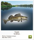 Славік Зайцев фотография #22 (источник - https://vk.com/id97164544)
