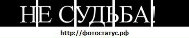 Игорь Васюта фотография #9 (источник - https://vk.com/id2441216)