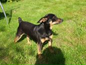 Фотография Петрова Никиты