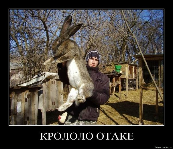 Grave Robber фото №1