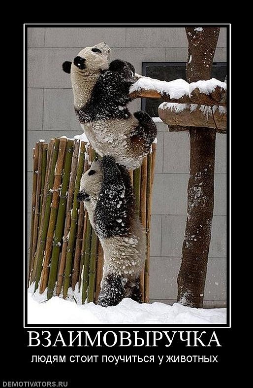 Илья Стафеев фотография #37