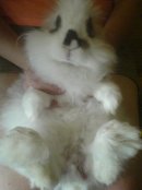 Фотография Стародубовой Марины