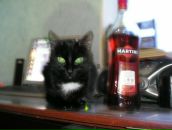 Фотография Лимоновой Евгении