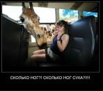 Фотография Хапёрского Владимира