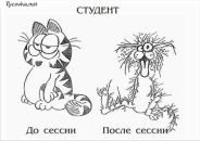 Фотография Шишкиной Натальи