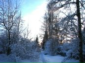 Фотография Ковалёвой Елены