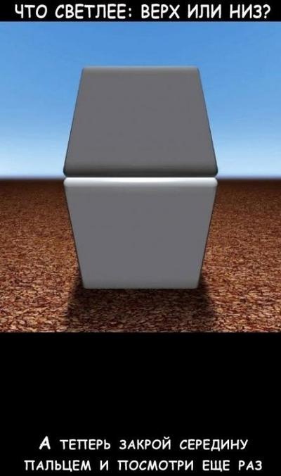 Стас Мальцев фотография #37