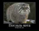Фотография Касниковской Насти